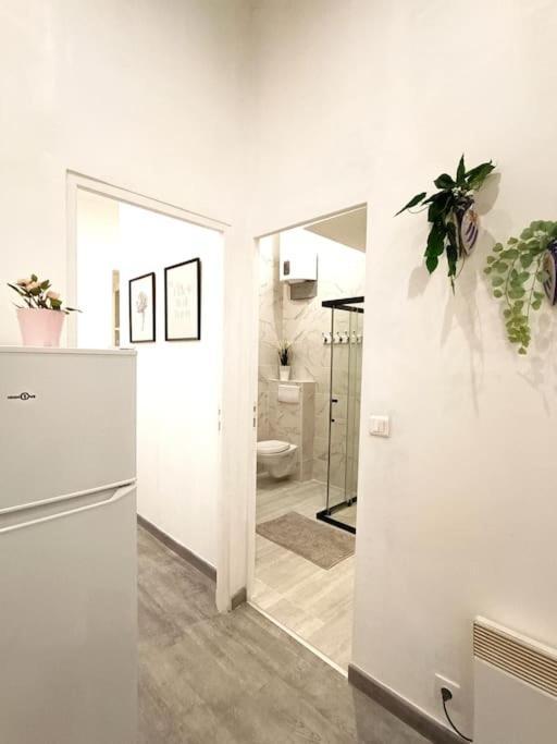 Appartement Gare Saint Charles Marsilya Dış mekan fotoğraf